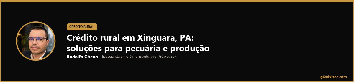 Rodolfo Gheno — Crédito rural em Xinguara, PA: soluções para pecuária e produção rural | Xinguara, PA